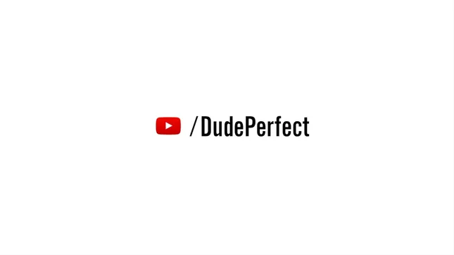 Google (YouTube) - Dude Perfect
