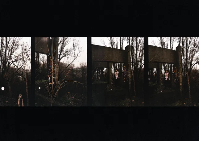 Project image