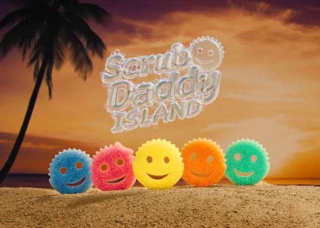 Scrub Daddy Island