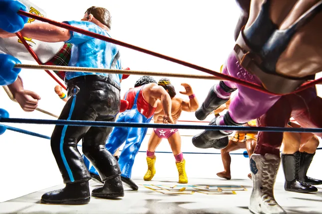 The Wrestlers