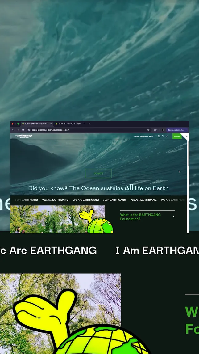 EarthGang Foundation — Full Website Redesign
