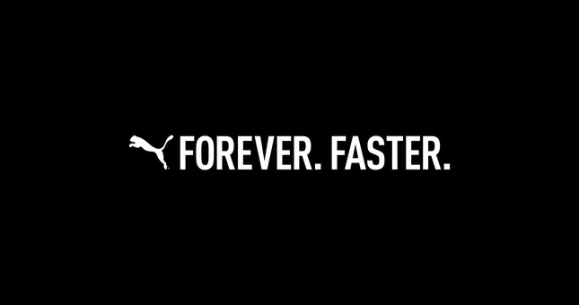 Puma - End Card Explorations