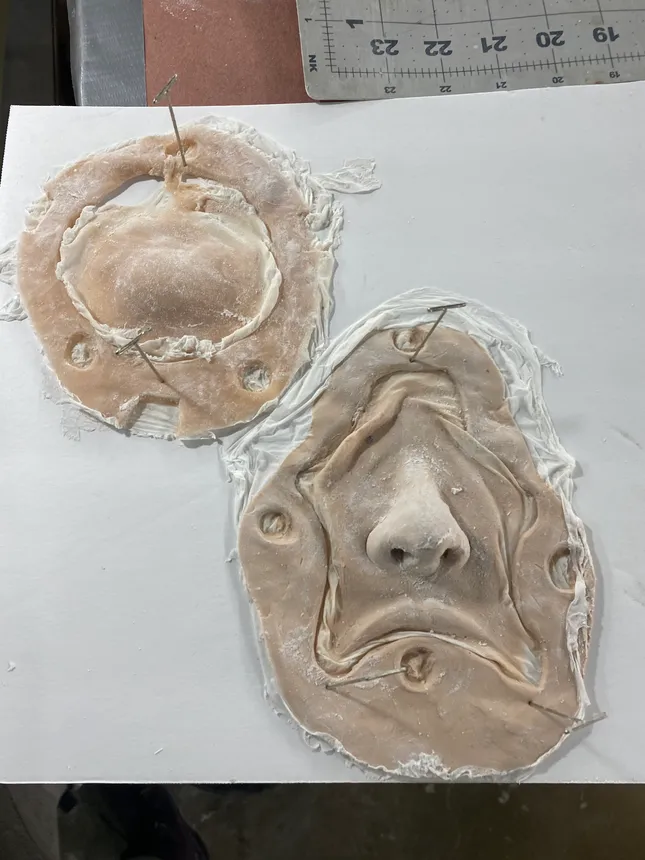 Project image