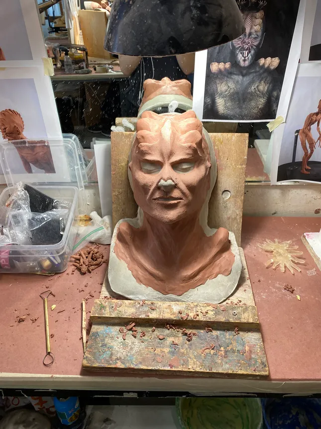 Project image