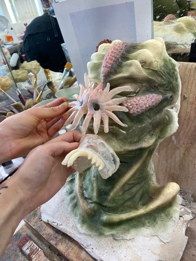 Project image