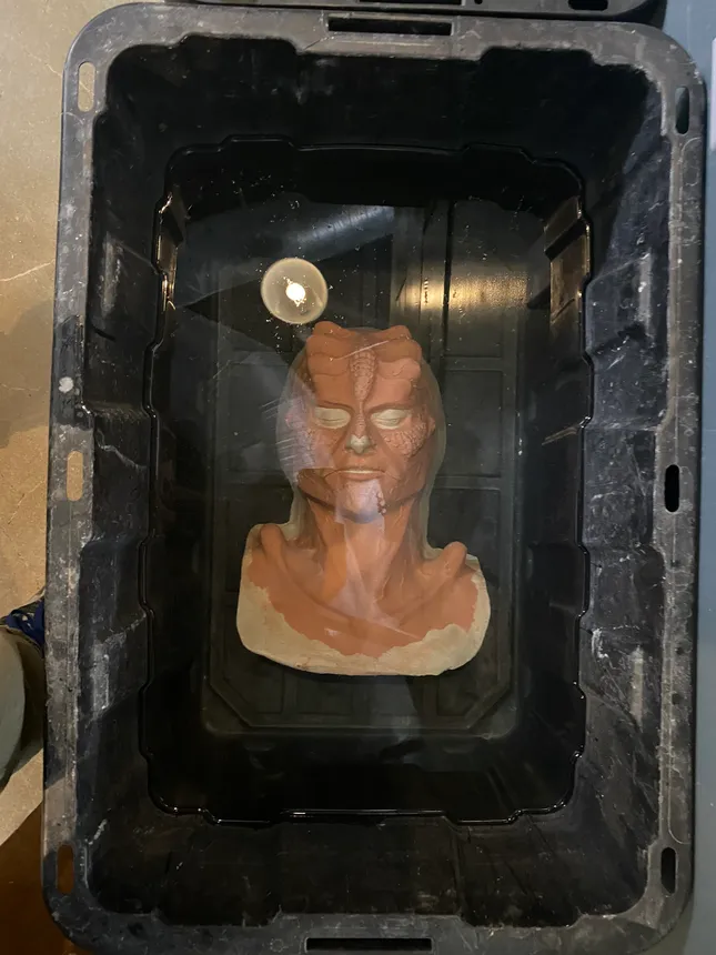 Project image