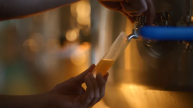 From Grain to Glass