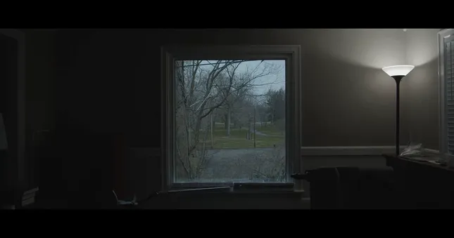 Sonder: An Anthology of Loss