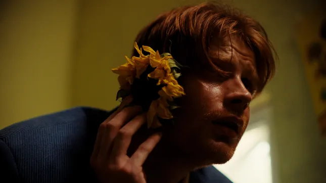 Tournesols