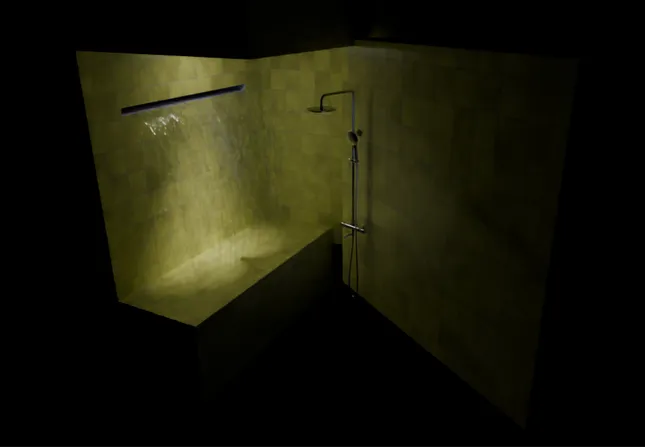 Project image