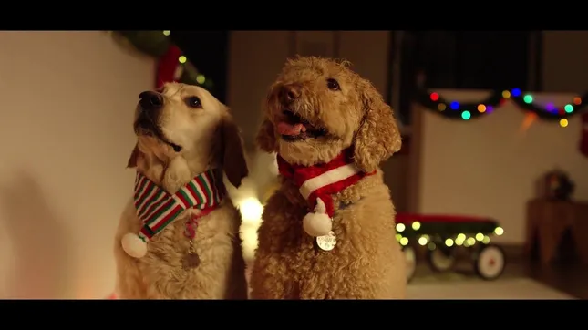 Happy Howlidays from ZippyPaws