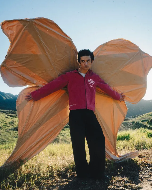 Project image