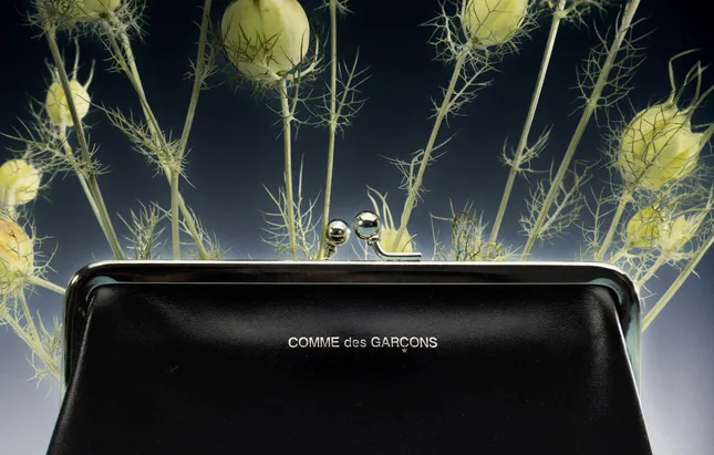 a study of objects & flowers