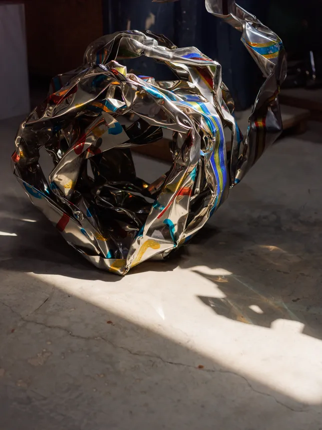 Project image