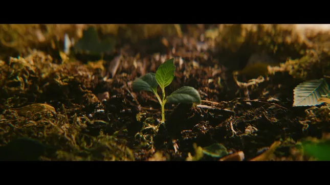 Zack Mahar - DP Reel