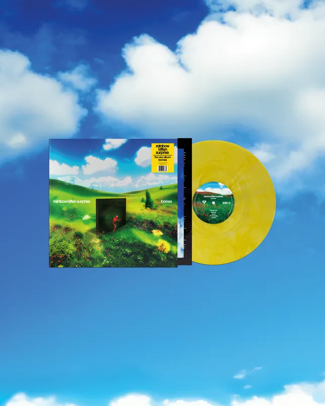 Rainbow Kitten Surprise - 'bones' Album Rollout