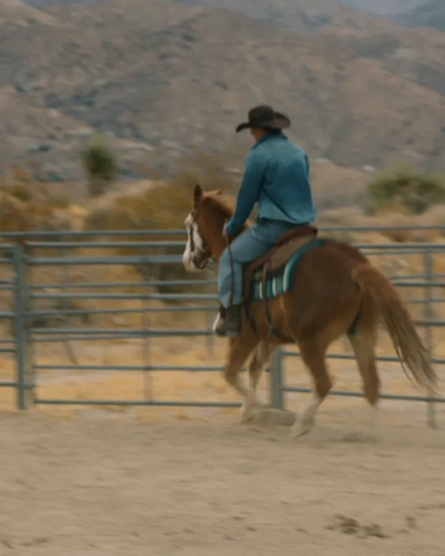 YoungLA - Rodeo Show