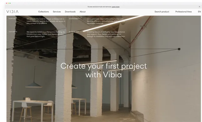 Project image