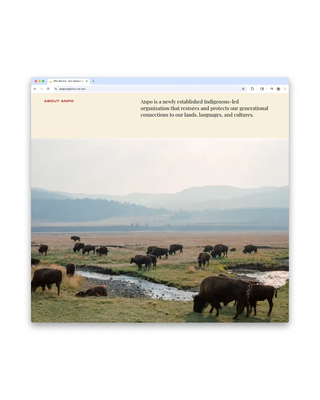 ANPO Website and Photography