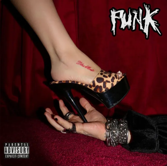 PUNK cover art