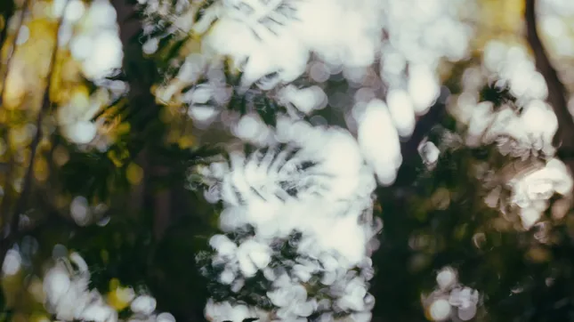 "Re.Green - Teaser" | DOCUMENTARY WEBSERIE