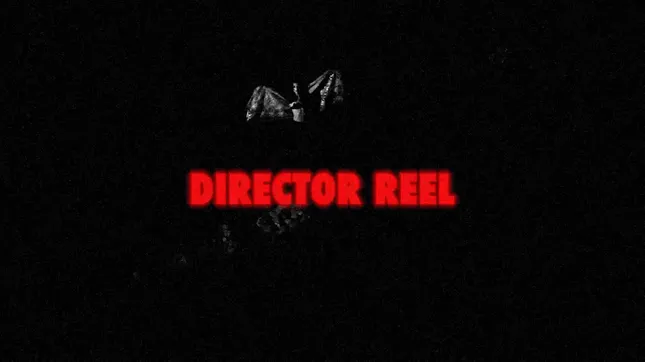 DIRECTOR REEL