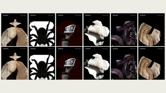 Project image