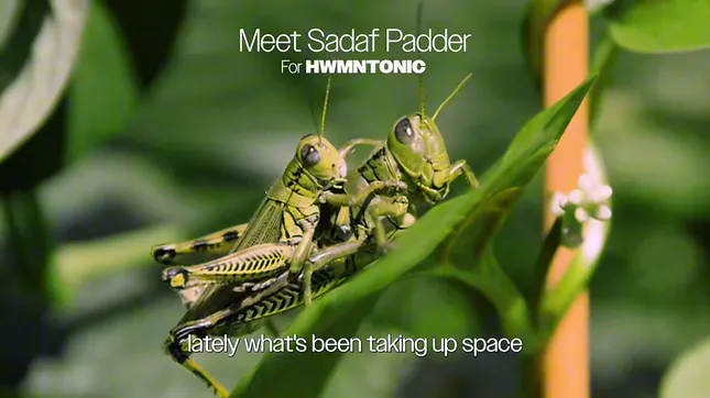 Sadaf Padder for 351 magazine