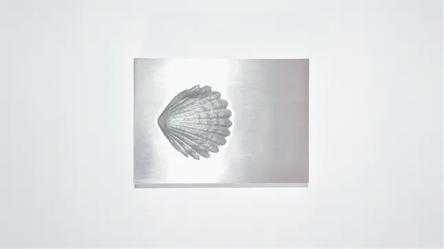 Conkiglia — Post-Production Work