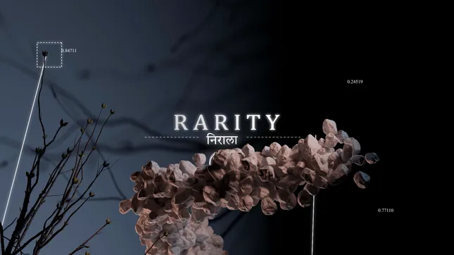 Nirala (Rarity)- Motion Design