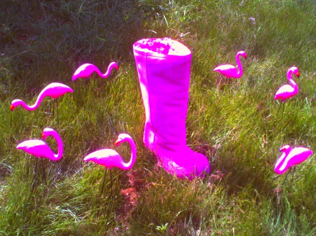 Project image