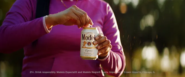Modelo: Fighting Chances