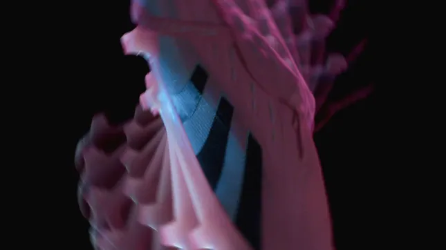 Adidas: Predator Elite x David Beckham