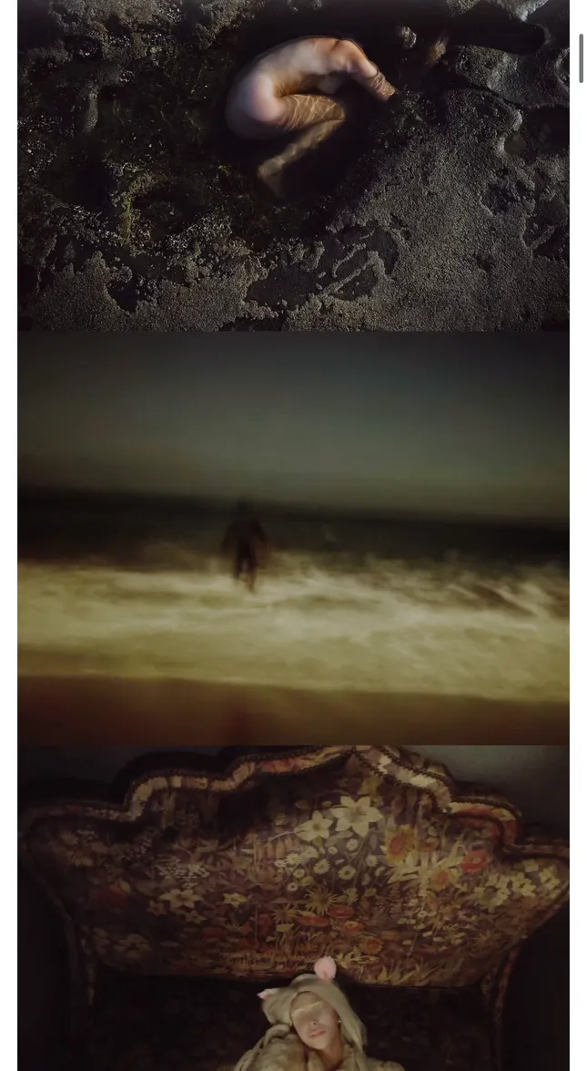 Photography Portfolio