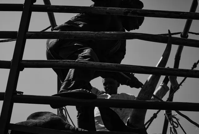 A road trip