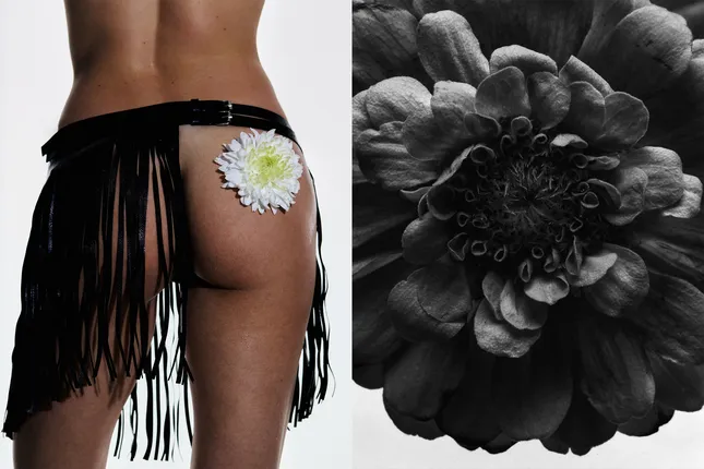 Bloom