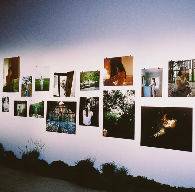Project image