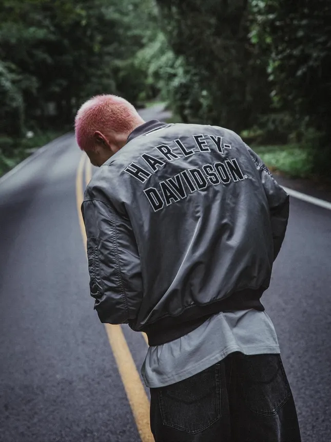 Harley Davidson by Dylan Perlot