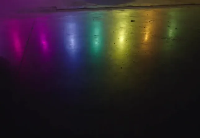 TELFAR | "RAINBOW" ANNOUNCEMENT 2022