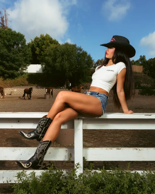 Von Dutch - Western series