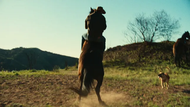 Cowboy - Commercial