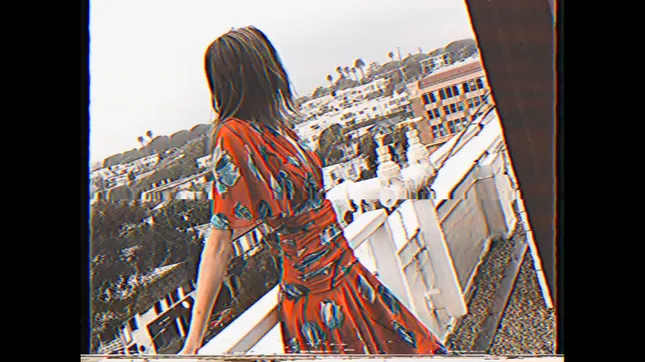 DVF - Commercial