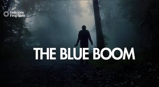 THE BLUE BOOM