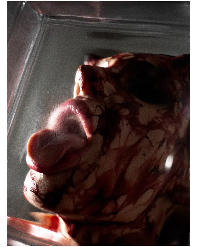 Project image