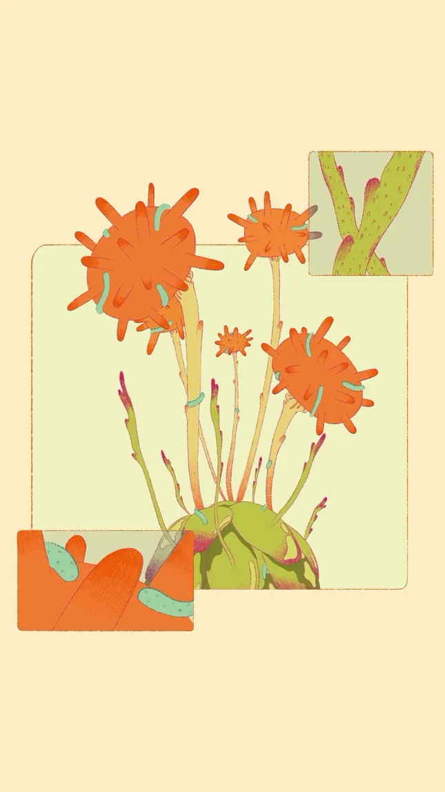 Living Plant
