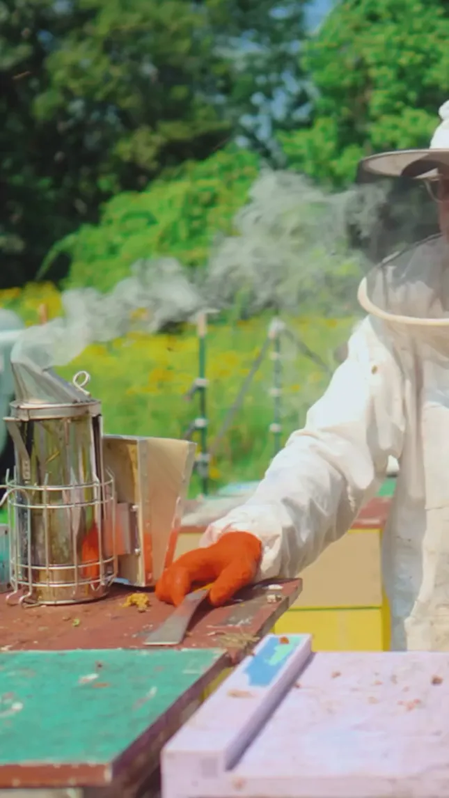 SkyHighFarm HudsonValley, BeeKeepers