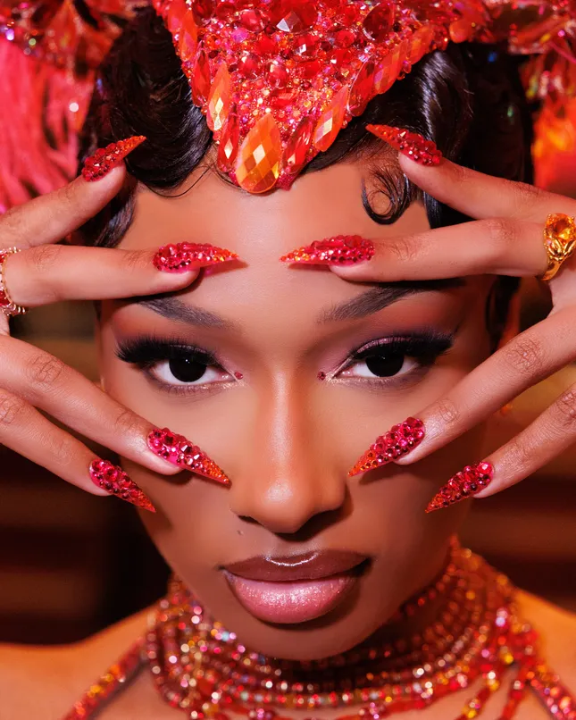 20 Shades of Thee Stallion