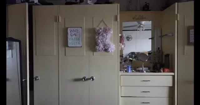 face: an experimental docu-short ￼