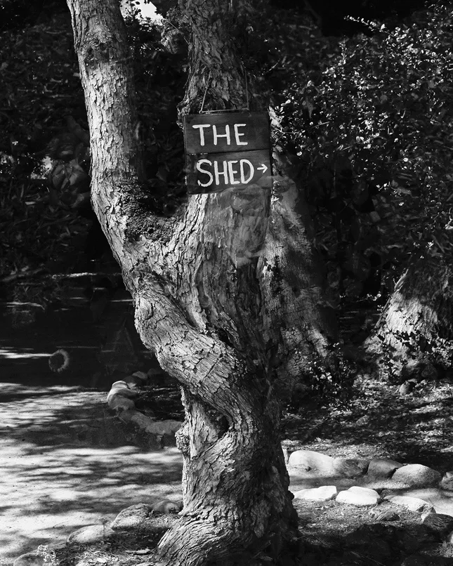 Private Eye x The Shed
