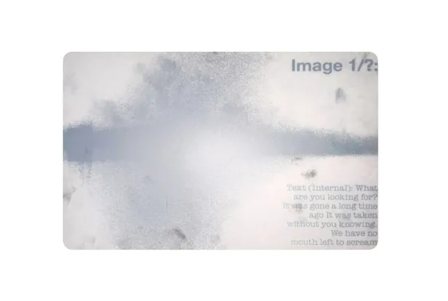 Image 1/?